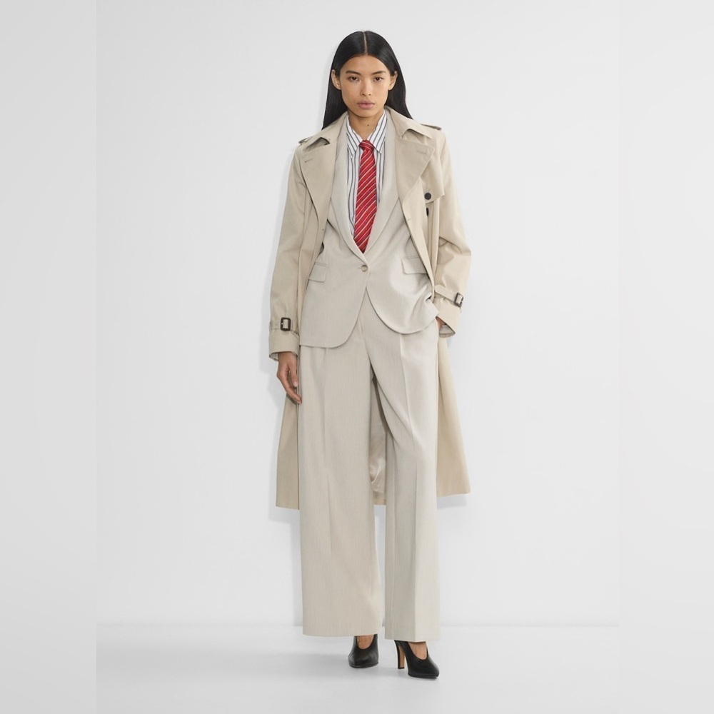 Aritzia Babaton Succeeder Pant